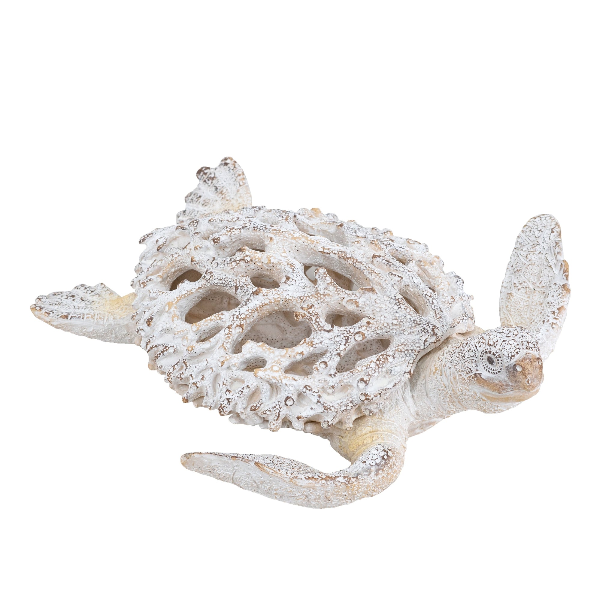 Sea Turtle – Mindy Brownes & Genesis Fine Arts LTD